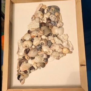 KREATIONS MAINE artwork of framed seashells